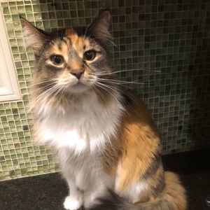 Meet your Posher, Kelly